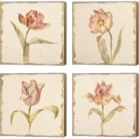 Framed Vintage Tulip 4 Piece Canvas Print Set
