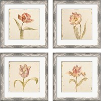 Framed 'Vintage Tulip 4 Piece Framed Art Print Set' border=