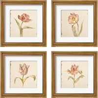 Framed Vintage Tulip 4 Piece Framed Art Print Set