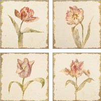 Framed 'Vintage Tulip 4 Piece Art Print Set' border=