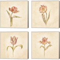 Framed 'Tulip on White 4 Piece Canvas Print Set' border=