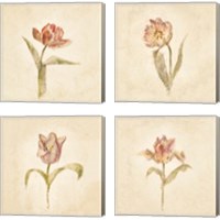 Framed 'Tulip on White 4 Piece Canvas Print Set' border=