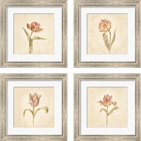 Framed 'Tulip on White 4 Piece Framed Art Print Set' border=