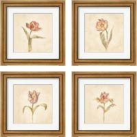 Framed 'Tulip on White 4 Piece Framed Art Print Set' border=