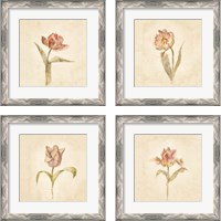 Framed Tulip on White 4 Piece Framed Art Print Set