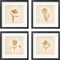 Framed Tulip on White 4 Piece Framed Art Print Set
