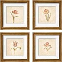 Framed 'Tulip on White 4 Piece Framed Art Print Set' border=