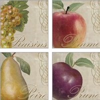 Framed 'Fruits Classique 4 Piece Art Print Set' border=