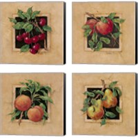 Framed 'Fruit Square 4 Piece Canvas Print Set' border=