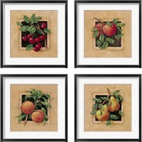 Framed 'Fruit Square 4 Piece Framed Art Print Set' border=