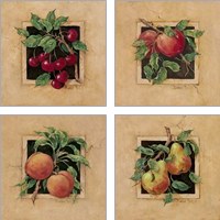 Framed 'Fruit Square 4 Piece Art Print Set' border=