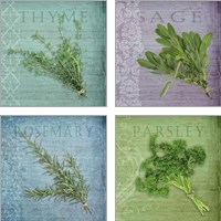 Framed 'Classic Herbs  4 Piece Art Print Set' border=