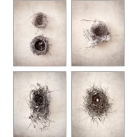 Framed Nest 4 Piece Art Print Set