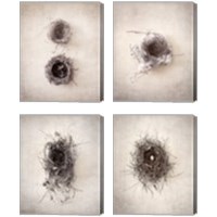 Framed 'Nest 4 Piece Canvas Print Set' border=