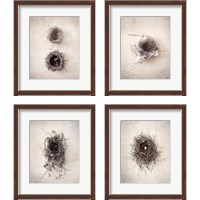 Framed 'Nest 4 Piece Framed Art Print Set' border=