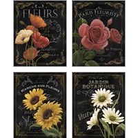 Framed 'Botanical Collection 4 Piece Art Print Set' border=