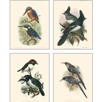 Framed 'Birds in Nature 4 Piece Art Print Set' border=