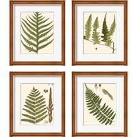 Framed 'Small Antique Fern 4 Piece Framed Art Print Set' border=