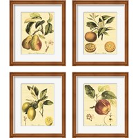 Framed 'Petite Tuscan Fruits 4 Piece Framed Art Print Set' border=