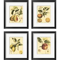 Framed 'Petite Tuscan Fruits 4 Piece Framed Art Print Set' border=