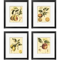 Framed 'Petite Tuscan Fruits 4 Piece Framed Art Print Set' border=