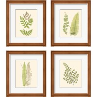 Framed 'Woodland Ferns 4 Piece Framed Art Print Set' border=