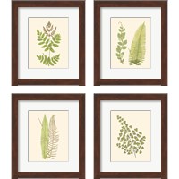 Framed 'Woodland Ferns 4 Piece Framed Art Print Set' border=
