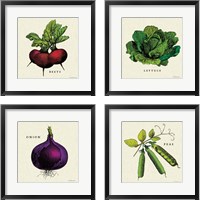 Framed 'Linen Vegetable 4 Piece Framed Art Print Set' border=