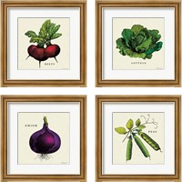 Framed Linen Vegetable 4 Piece Framed Art Print Set