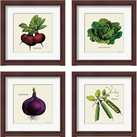 Framed 'Linen Vegetable 4 Piece Framed Art Print Set' border=