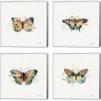 Framed 'Thoughtful Butterflies 4 Piece Canvas Print Set' border=