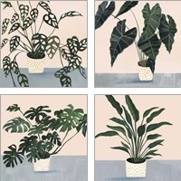 Framed 'Houseplant  4 Piece Art Print Set' border=