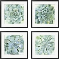 Framed 'Verdant Succulent 4 Piece Framed Art Print Set' border=