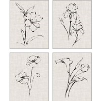 Framed 'Floral Ink Study 4 Piece Art Print Set' border=