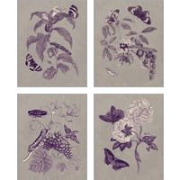 Framed Nature Study in Plum & Taupe 4 Piece Art Print Set