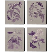Framed Nature Study in Plum & Taupe 4 Piece Canvas Print Set