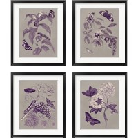 Framed 'Nature Study in Plum & Taupe 4 Piece Framed Art Print Set' border=