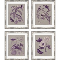 Framed 'Nature Study in Plum & Taupe 4 Piece Framed Art Print Set' border=