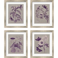 Framed 'Nature Study in Plum & Taupe 4 Piece Framed Art Print Set' border=