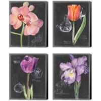Framed 'Chalkboard Flower 4 Piece Canvas Print Set' border=
