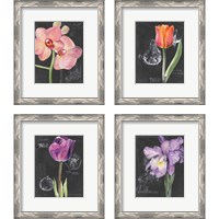 Framed 'Chalkboard Flower 4 Piece Framed Art Print Set' border=