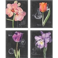 Framed 'Chalkboard Flower 4 Piece Art Print Set' border=