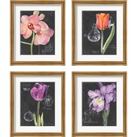Framed 'Chalkboard Flower 4 Piece Framed Art Print Set' border=