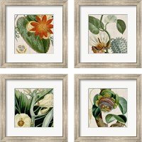 Framed 'Cropped Turpin Tropicals 4 Piece Framed Art Print Set' border=