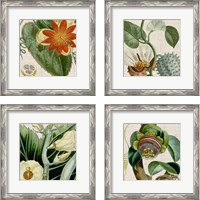 Framed Cropped Turpin Tropicals 4 Piece Framed Art Print Set