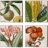 Framed 'Cropped Turpin Tropicals 4 Piece Canvas Print Set' border=