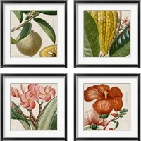 Framed 'Cropped Turpin Tropicals 4 Piece Framed Art Print Set' border=