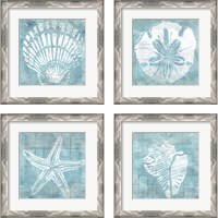 Framed 'Cerulean Shell 4 Piece Framed Art Print Set' border=