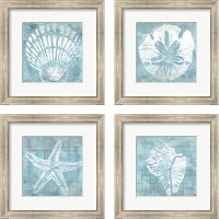 Framed Cerulean Shell 4 Piece Framed Art Print Set