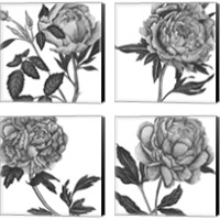 Framed 'Flowers in Grey 4 Piece Canvas Print Set' border=